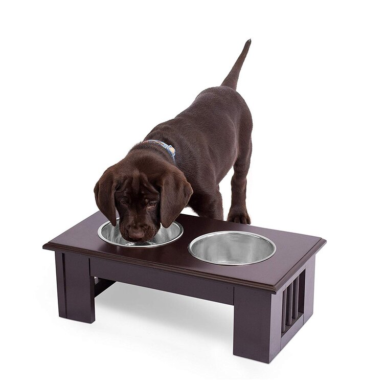 Decorative dog store bowl stands